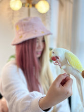 Load image into Gallery viewer, Head in the Clouds Hats - Fluffy